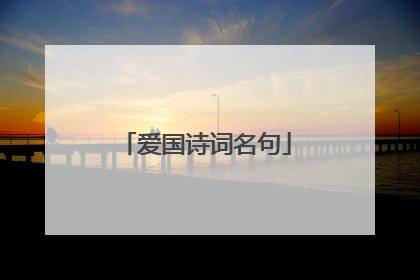 爱国诗词名句