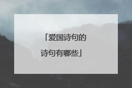 爱国诗句的诗句有哪些