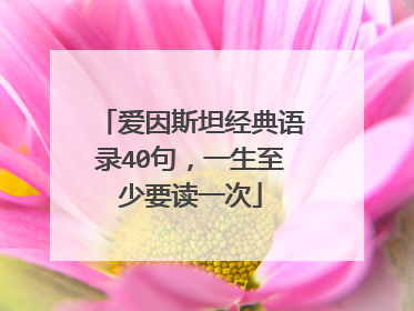 爱因斯坦经典语录40句,一生至少要读一次