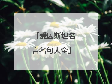 爱因斯坦名言名句大全