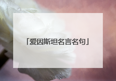 爱因斯坦名言名句