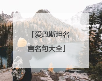 爱恩斯坦名言名句大全
