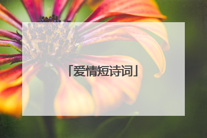 爱情短诗词