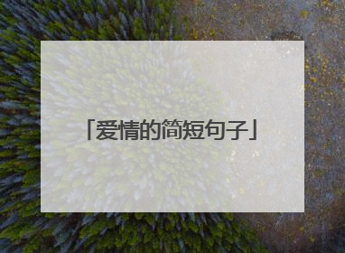 爱情的简短句子