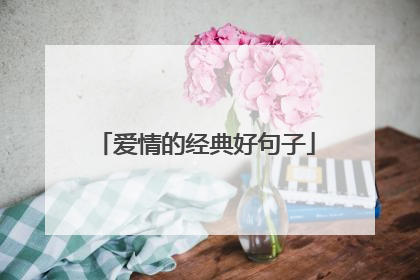 爱情的经典好句子