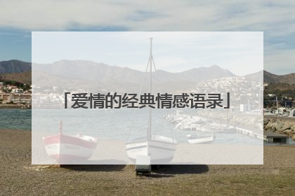 爱情的经典情感语录