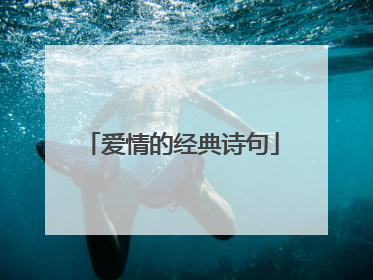 爱情的经典诗句