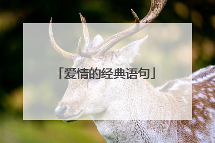 爱情的经典语句
