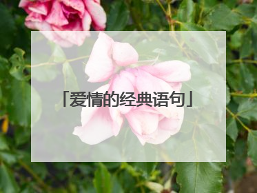 爱情的经典语句