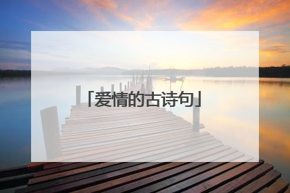 爱情的古诗句