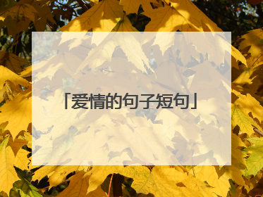 爱情的句子短句