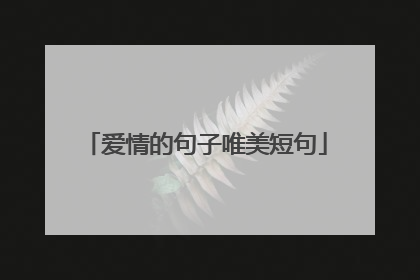 爱情的句子唯美短句