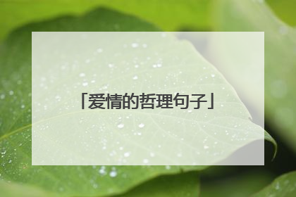 爱情的哲理句子