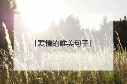 爱情的唯美句子