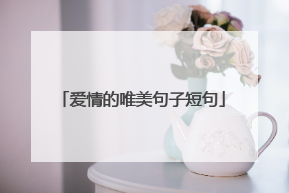 爱情的唯美句子短句
