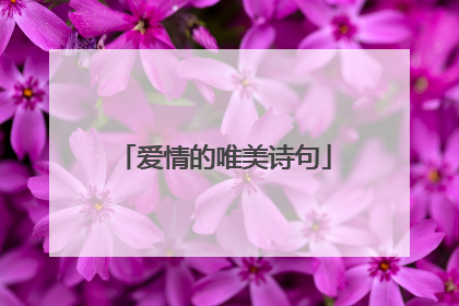 爱情的唯美诗句