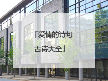 爱情的诗句古诗大全