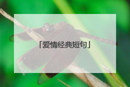 爱情经典短句