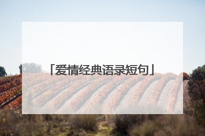 爱情经典语录短句