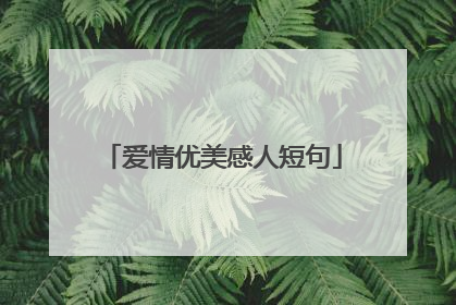 爱情优美感人短句