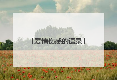 爱情伤感的语录