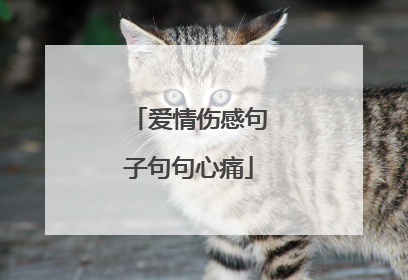 爱情伤感句子句句心痛