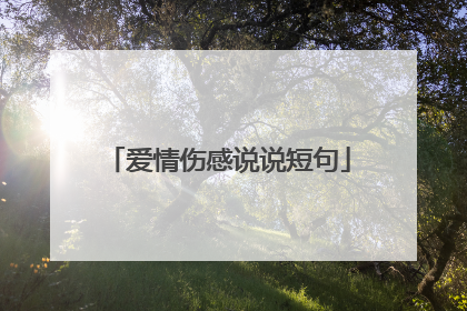 爱情伤感说说短句