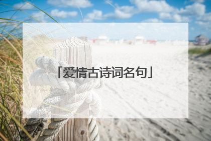 爱情古诗词名句