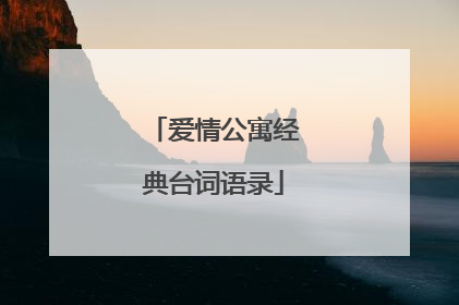 爱情公寓经典台词语录