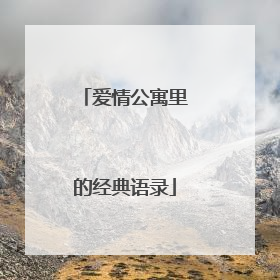 爱情公寓里的经典语录