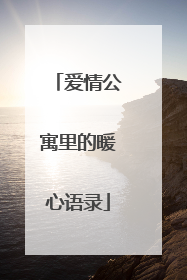 爱情公寓里的暖心语录