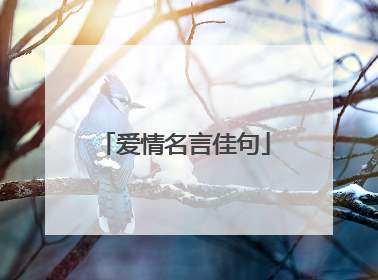 爱情名言佳句