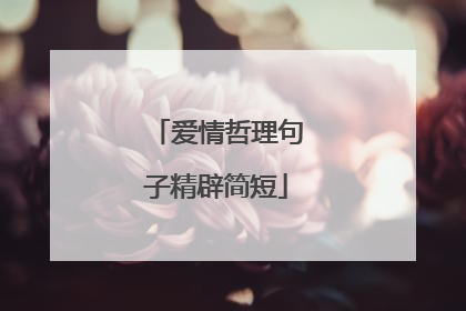 爱情哲理句子精辟简短