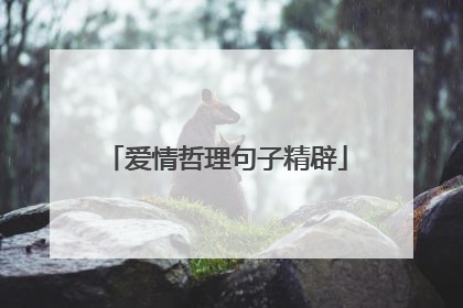 爱情哲理句子精辟