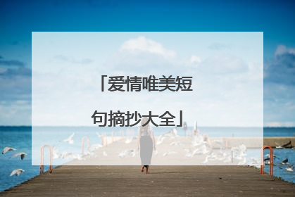 爱情唯美短句摘抄大全