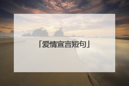 爱情宣言短句