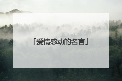 爱情感动的名言