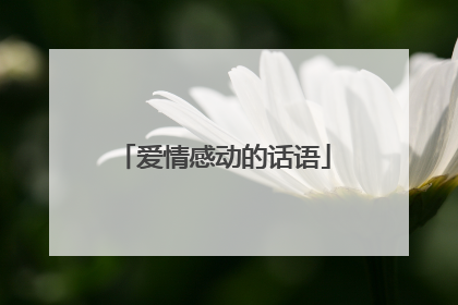 爱情感动的话语