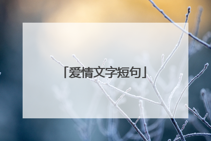 爱情文字短句
