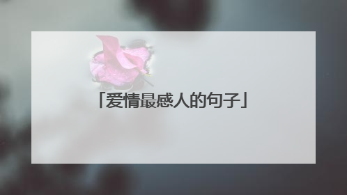 爱情最感人的句子