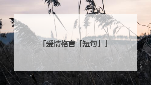 爱情格言「短句」