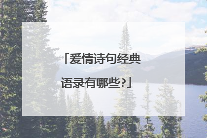 爱情诗句经典语录有哪些?