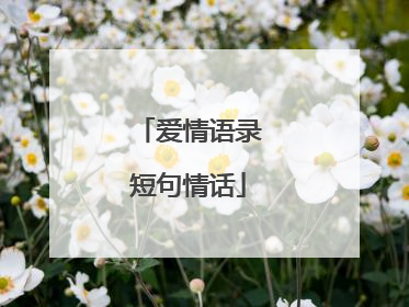 爱情语录短句情话