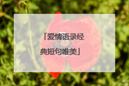 爱情语录经典短句唯美