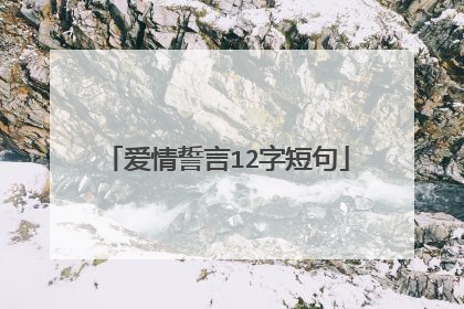 爱情誓言12字短句