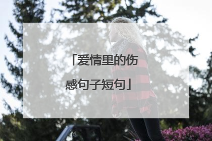 爱情里的伤感句子短句