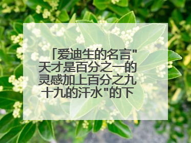 爱迪生的名言