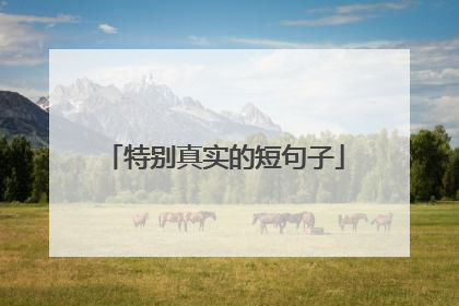 特别真实的短句子