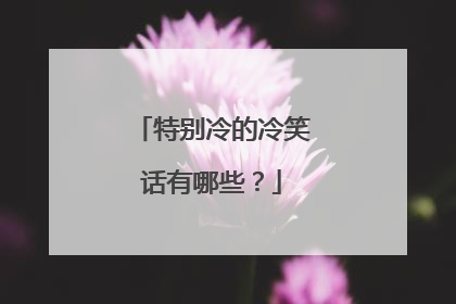 特别冷的冷笑话有哪些?