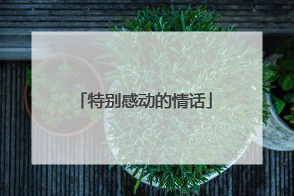 特别感动的情话